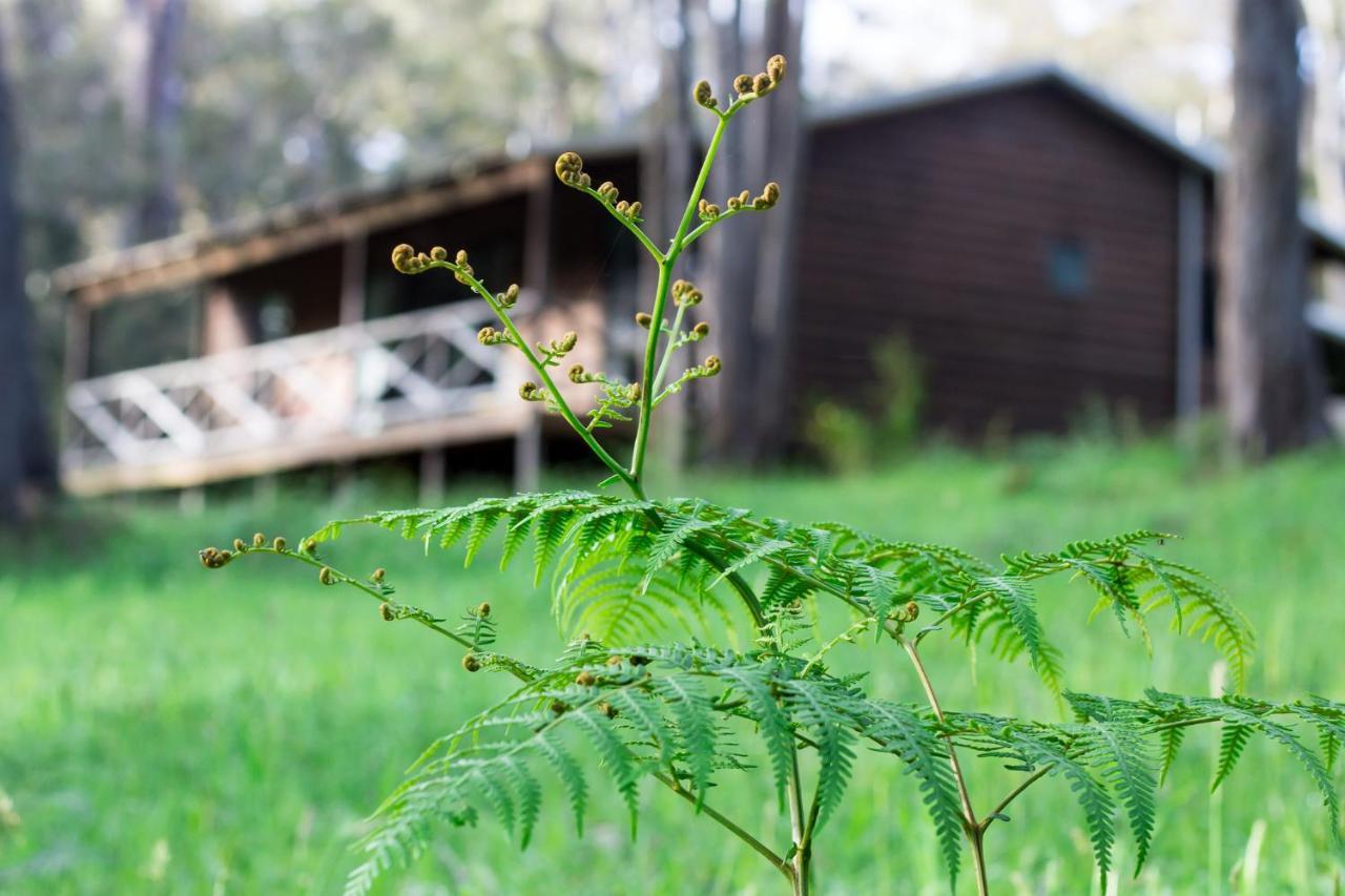Che Sara Sara Chalets Walpole Εξωτερικό φωτογραφία